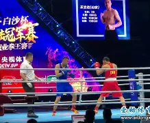 九游游戏平台app下载-拳击夜战：江南灰熊队大胜关中貔貅队，临门一脚致胜反击锐度十足