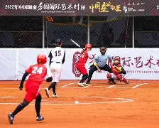 九游体育下载-三湘山猫队小胜漓江雄鲨队，板球总决赛上演裁判判罚引热议！重拾自信的夜晚